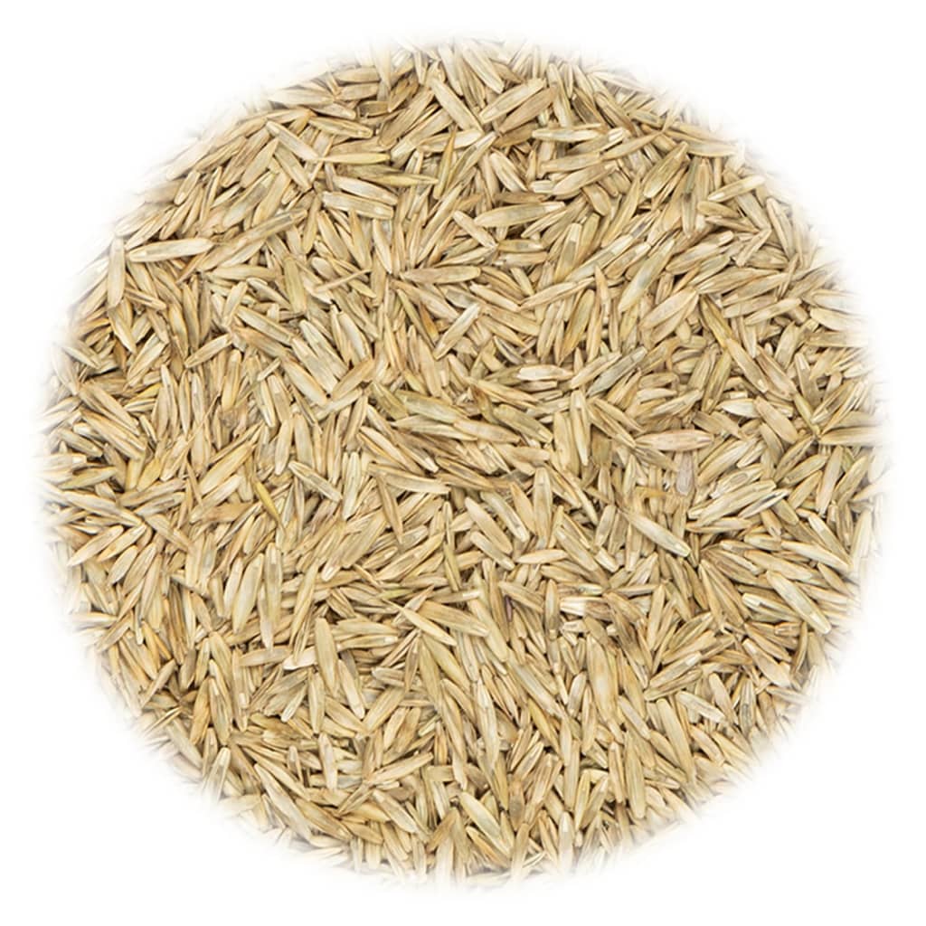 VidaXL Grassamen für Sport und Spiel 30 kg