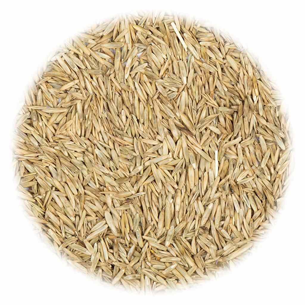 VidaXL Grassamen gegen Trockenheit und Hitze 10 kg