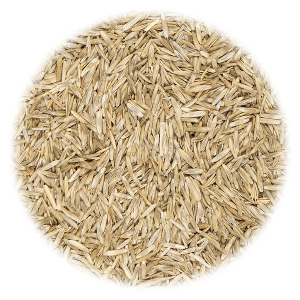 VidaXL Grassamen für Feld und Weide 10 kg