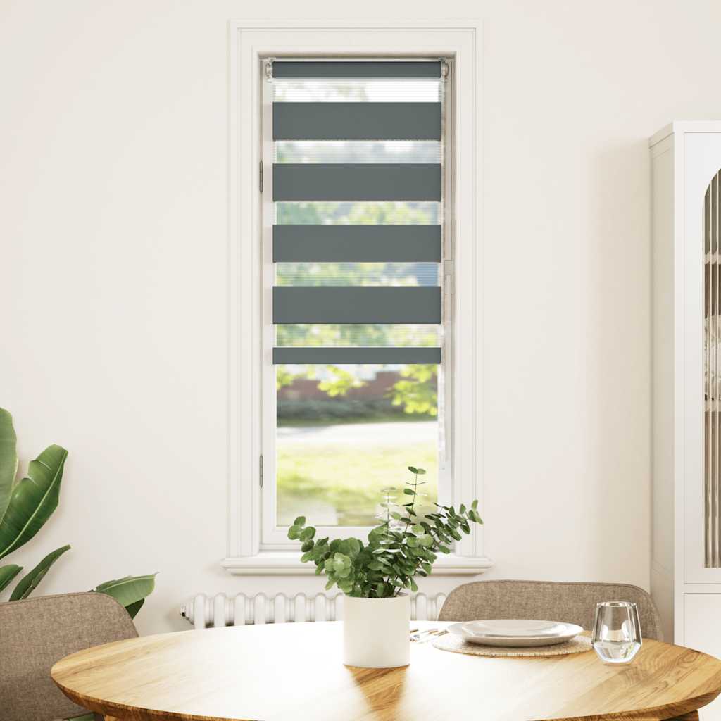 VidaXL Zebra-Rollo 50x100 cm Stoffbreite 45,9 cm Dunkelgrau