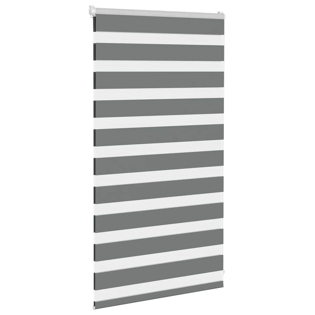 VidaXL Zebra-Rollo 70x100 cm Stoffbreite 65,9 cm Dunkelgrau
