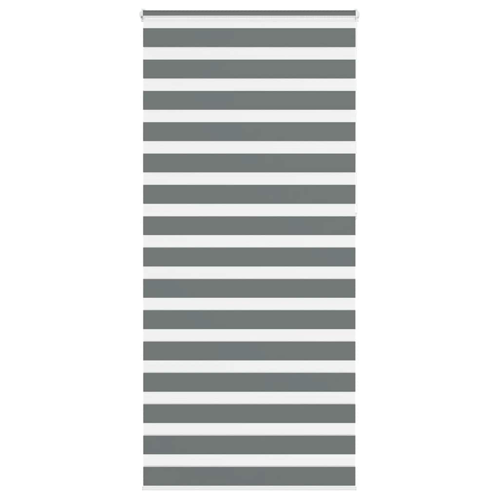 VidaXL Zebra-Rollo 100x230 cm Stoffbreite 95,9 cm Dunkelgrau