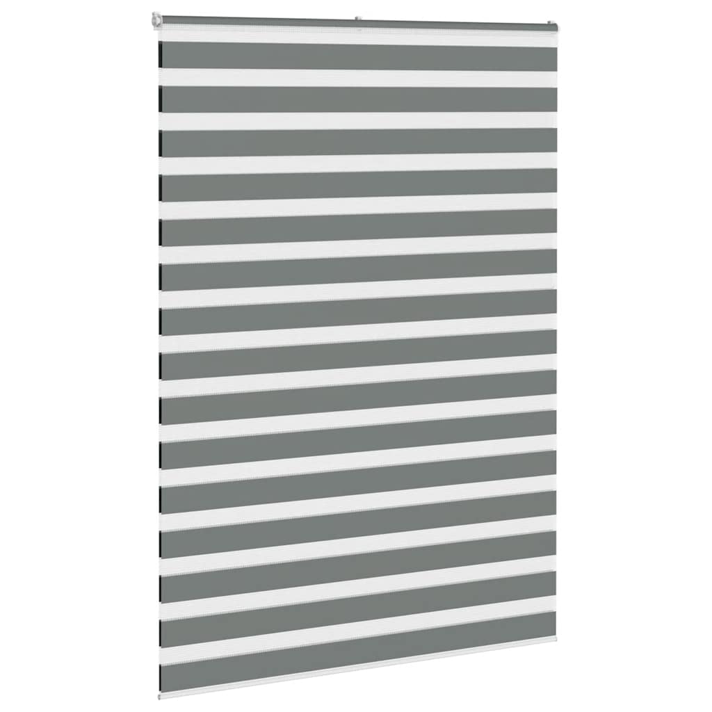 Vidaxx Zebra-Rollo 155x230 cm Stoffbreite 150,9 cm Dunkelgrau