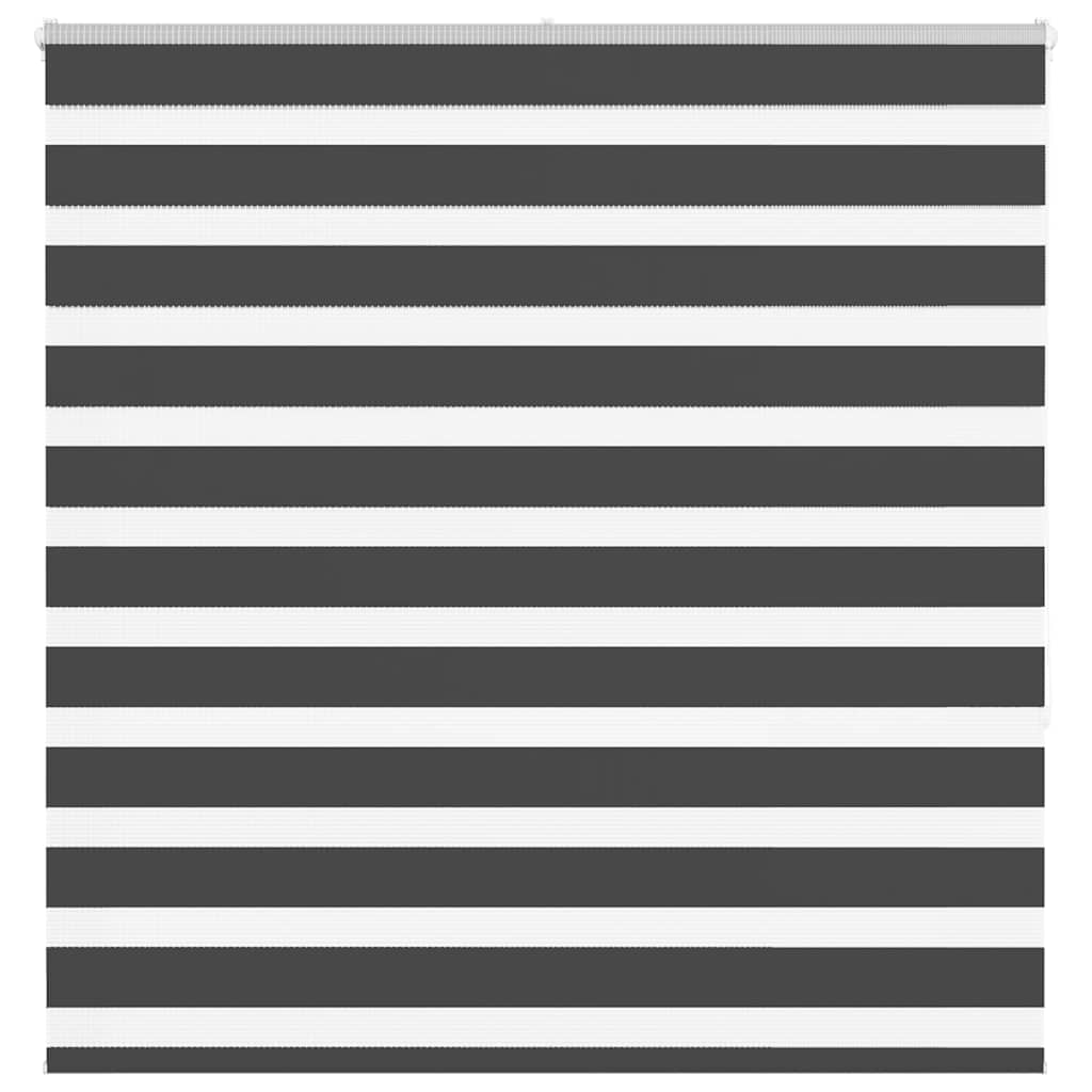 VidaXL Zebra-Rollo 150x150 cm Stoffbreite 145,9 cm Schwarz