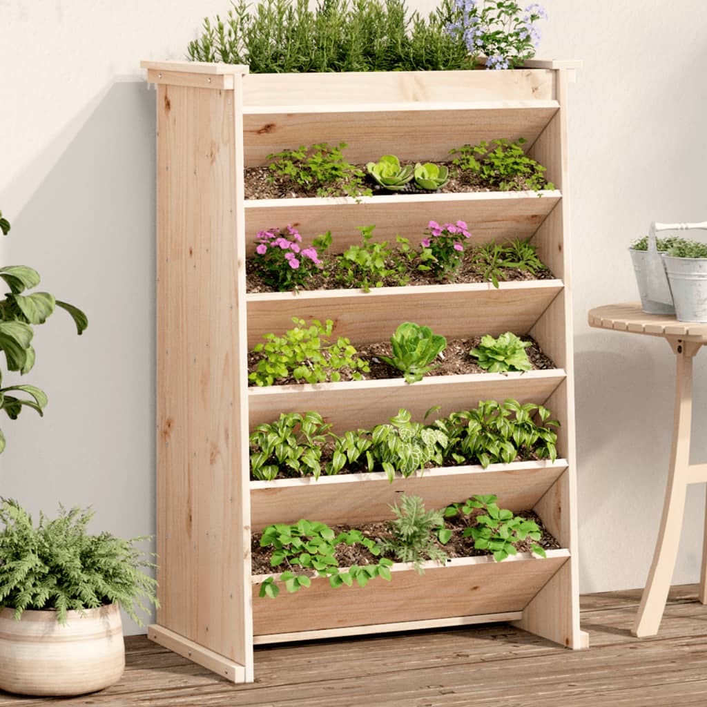 Vidaxx Kräuterbehälter 6-lagig 69x40x101,5 cm massives Kiefernholz