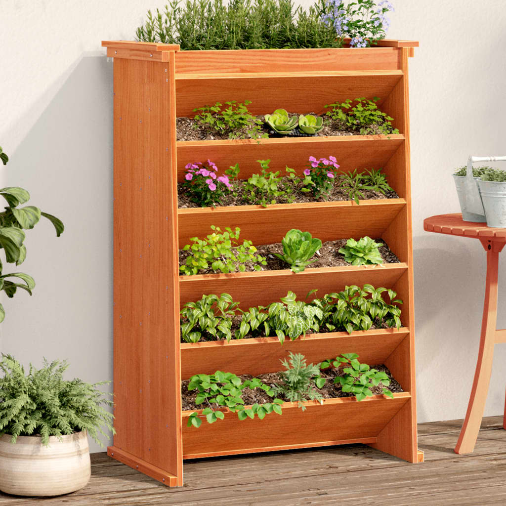 Vidaxx Gewürzbehälter 6-lagig 69x40x101,5 cm massives Kiefernholz, waschbraun
