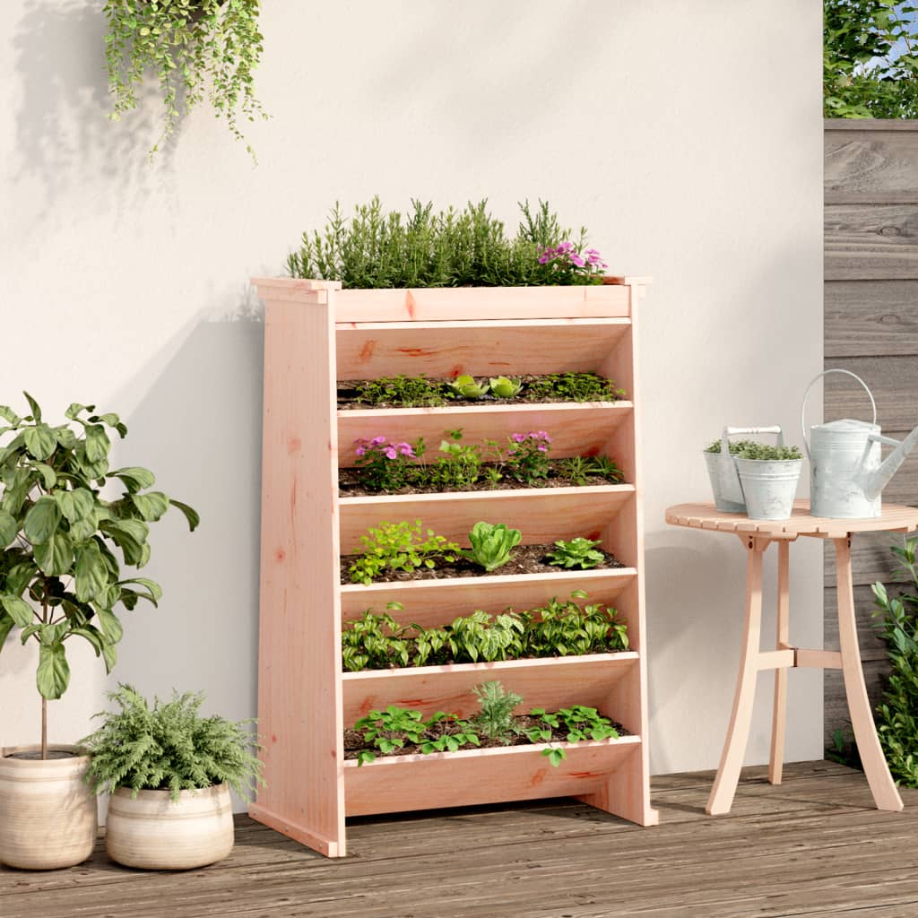 Vidaxx Kräuterbehälter 6-schichtig 69x40x101,5 cm massives Douglas-Holz