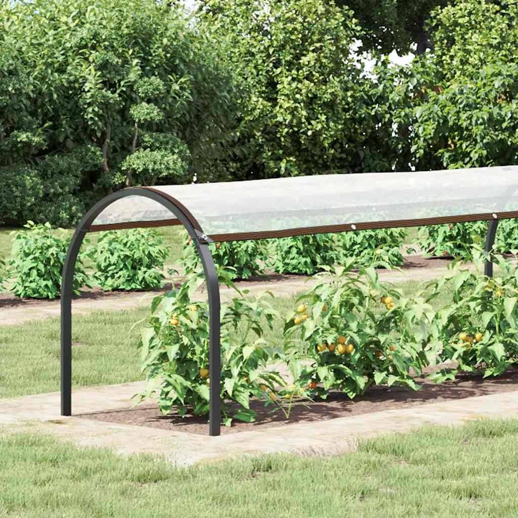 Vidaxx transparente Plane mit Ösen 1x8 m Polyethylen