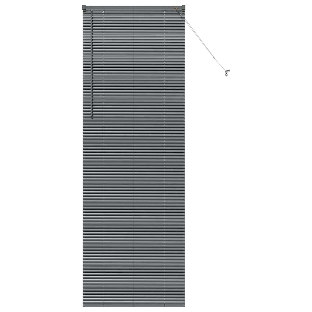 Vidaxl venetiaanse jaloezieën donkergrijs 220 x 75 cm aluminium