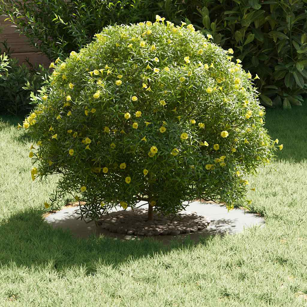 Vidaxl geschikt voor platte boomringen 5 pcs wit ø30 60 cm staal