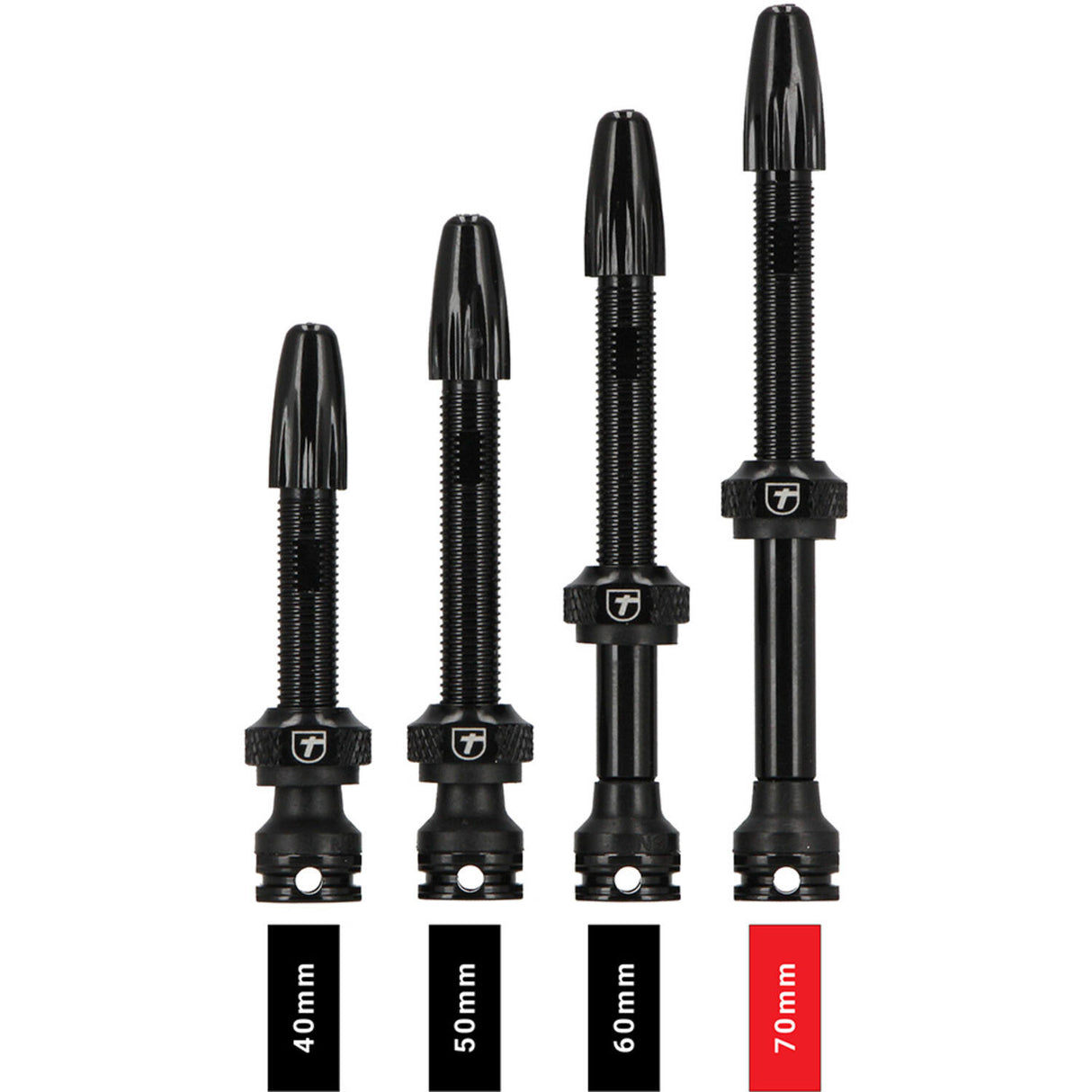 Trivio - Tubeless-Ventil schwarz fvt