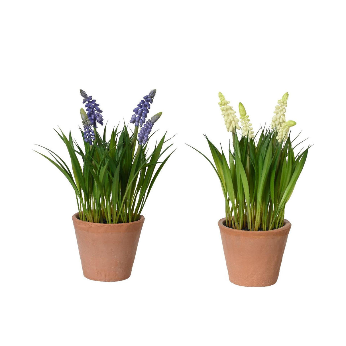 Decoris Kunstpflanze Weintrauben im Topf ø11xh26cm