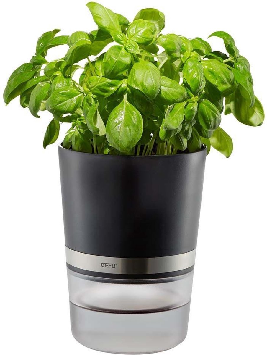 Gefu Botanico Kräutertopf – selbstbewässernder Kräutertopf – mit Wasserreservoir