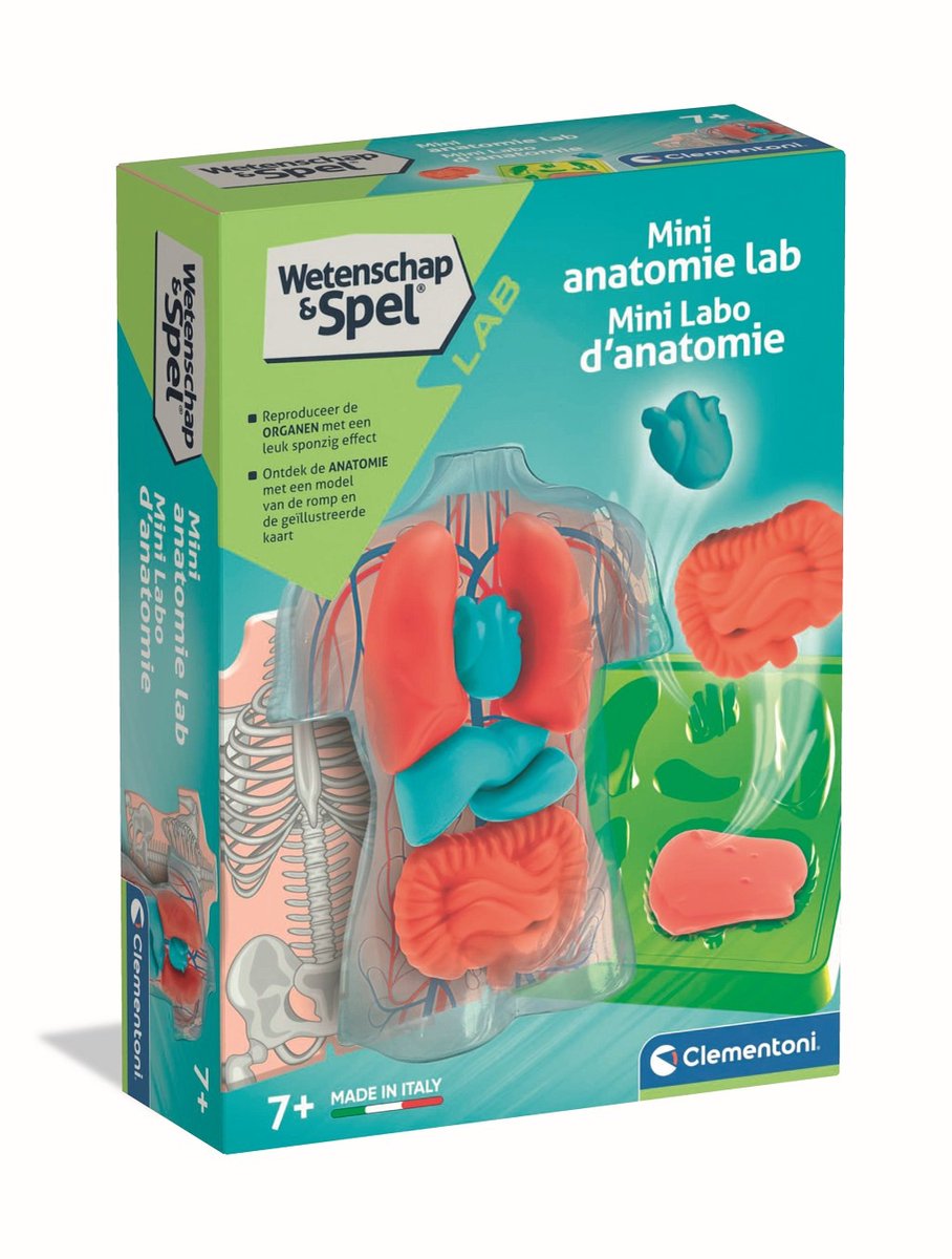 Clementoni-Wissenschaftsspiel – matschige Anatomie