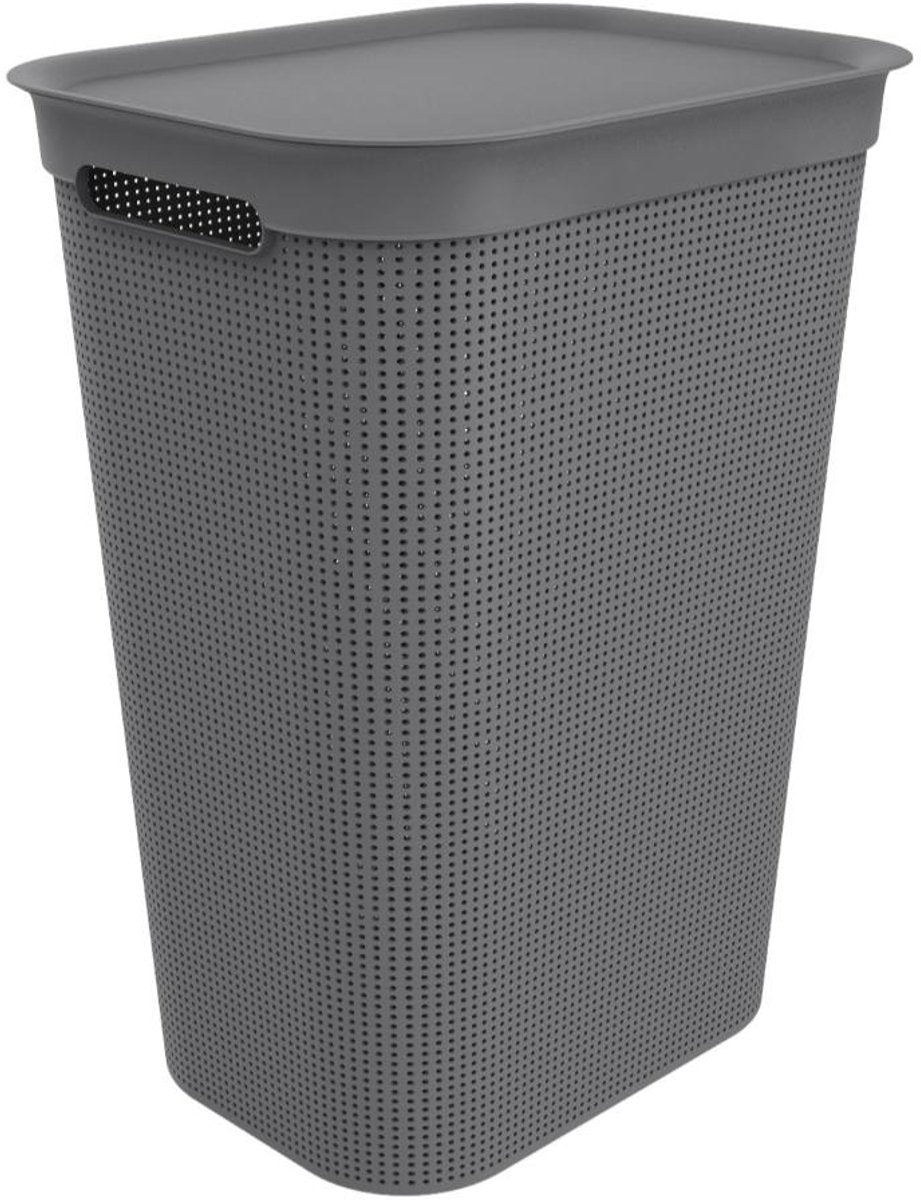 Rotho Wäschesammler Brisen 50l Anthrazit