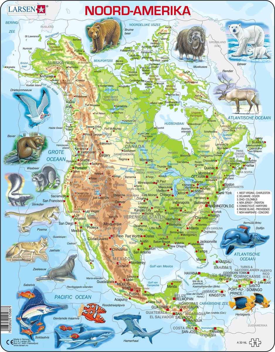 Selecta Larsen Puzzlekarte Nordamerika geografisch mit Tieren, 66 Teile.