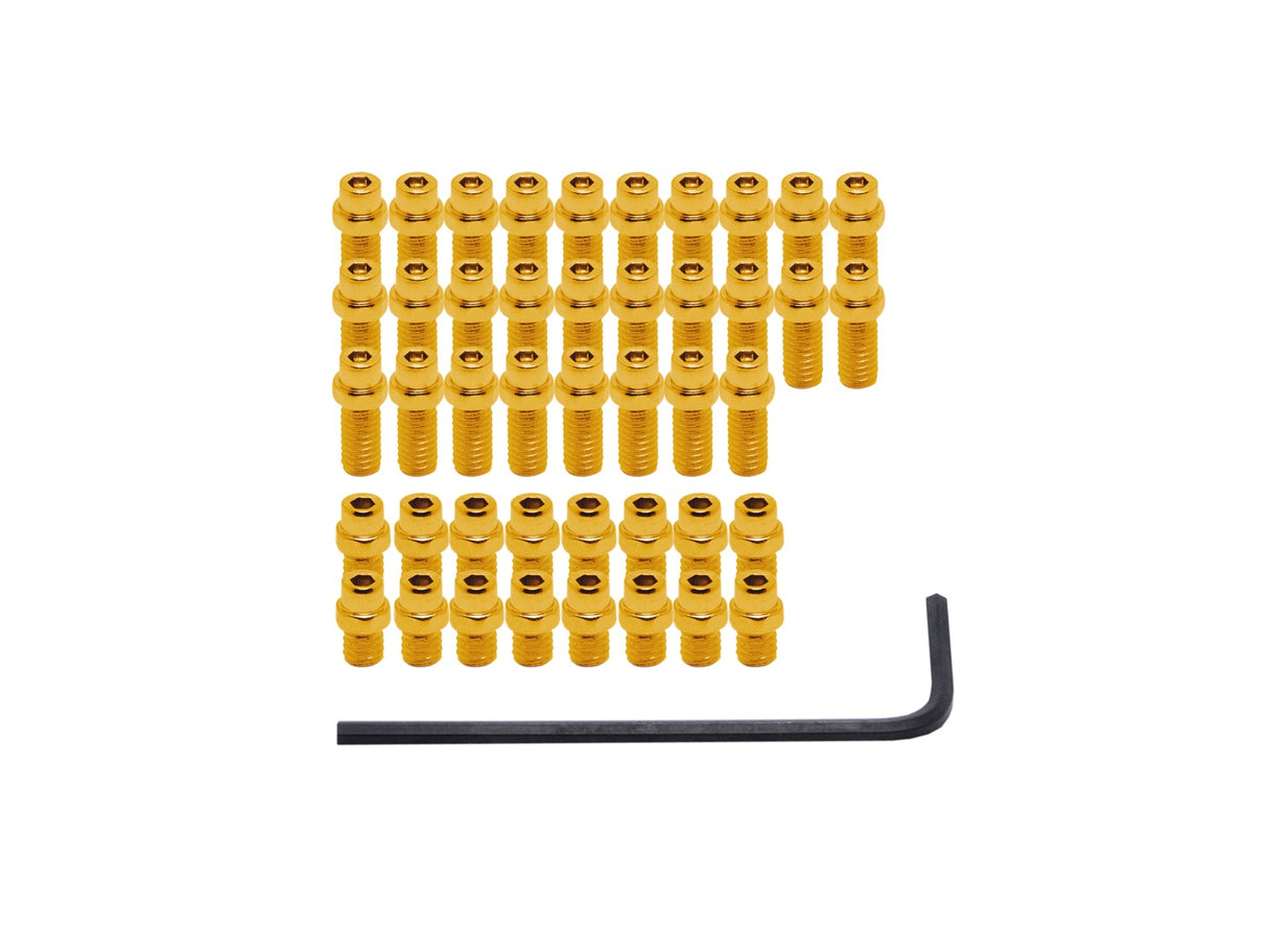 DMR Pin Kit Tresor Gold