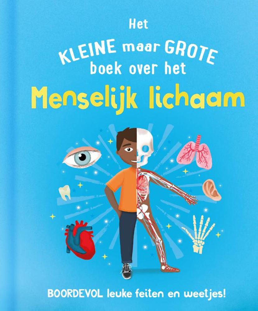 Rebo-Verlag das kleine, aber große Buch über? menschlicher Körper
