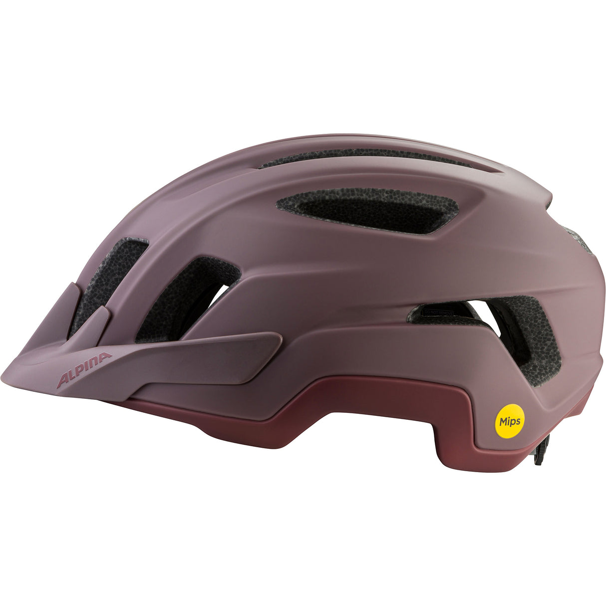 Olympiasportbekleidung Alpina Sports Tour Helm Paranus Mips 59-61 mattbraun