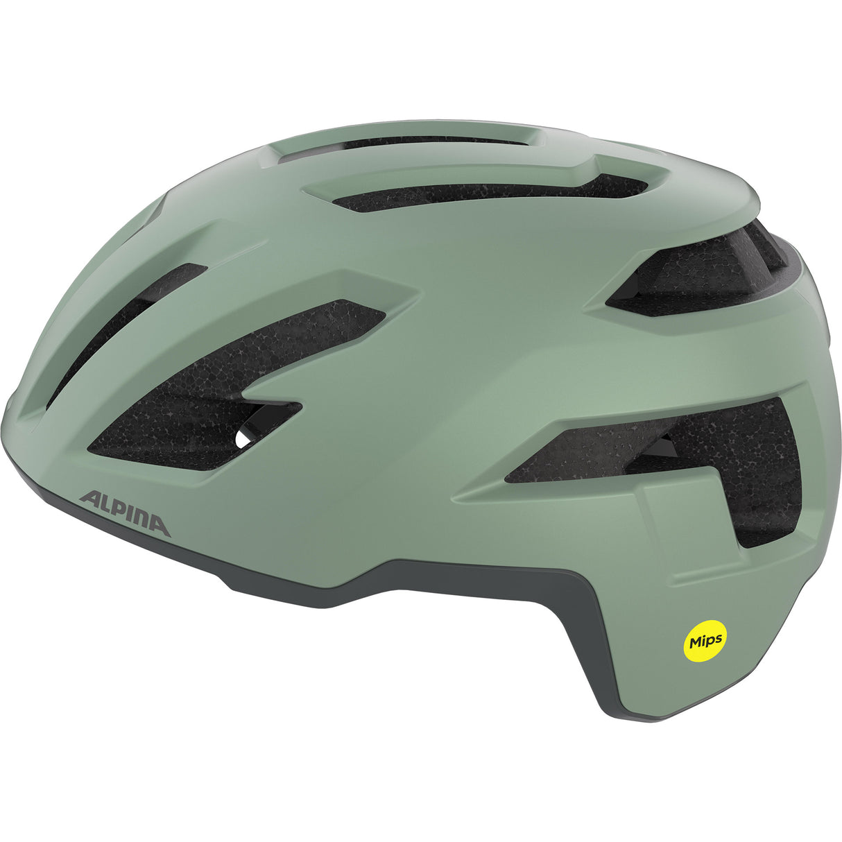 Olympiasportbekleidung Alpina Sports Tour Helm Taunus Gravel Mips 55-59 Mattgrün