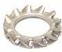 Bofix Zahnfeder Ring M6 Edelstahl (P100)