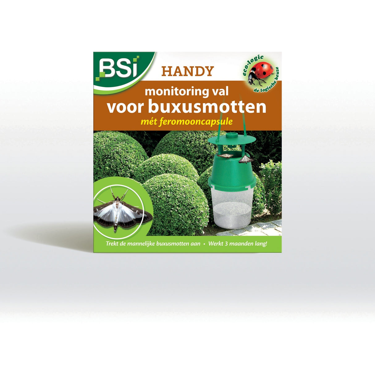 BSI Feromon -Falle für Boxwood Motte