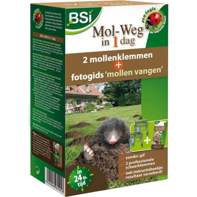 BSI-Mol-Straße in 1 Tag + Fotoführer