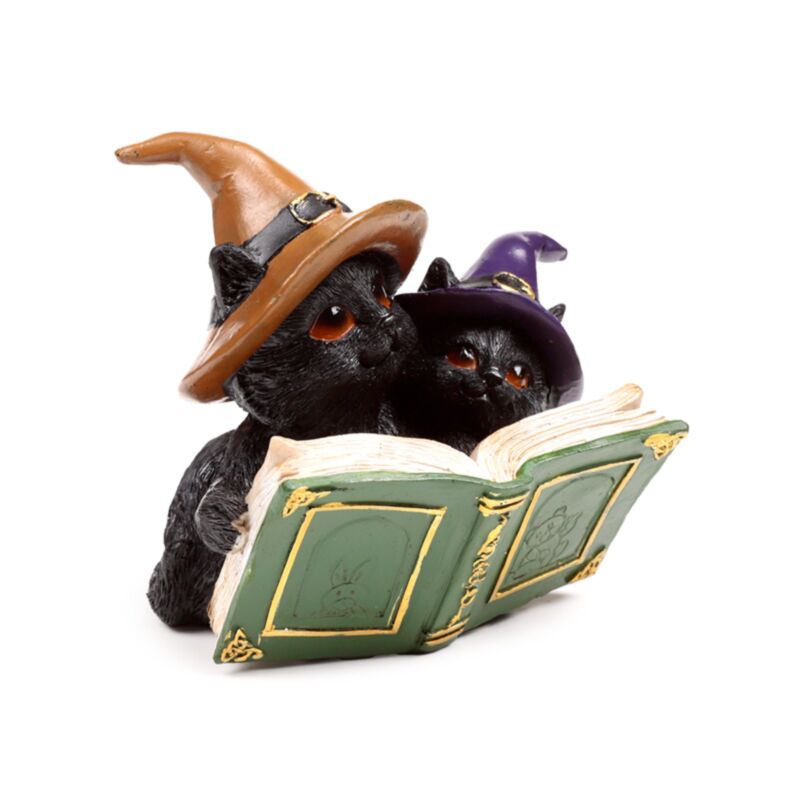 Zauberbuch der schwarzen Katze der Hexen
