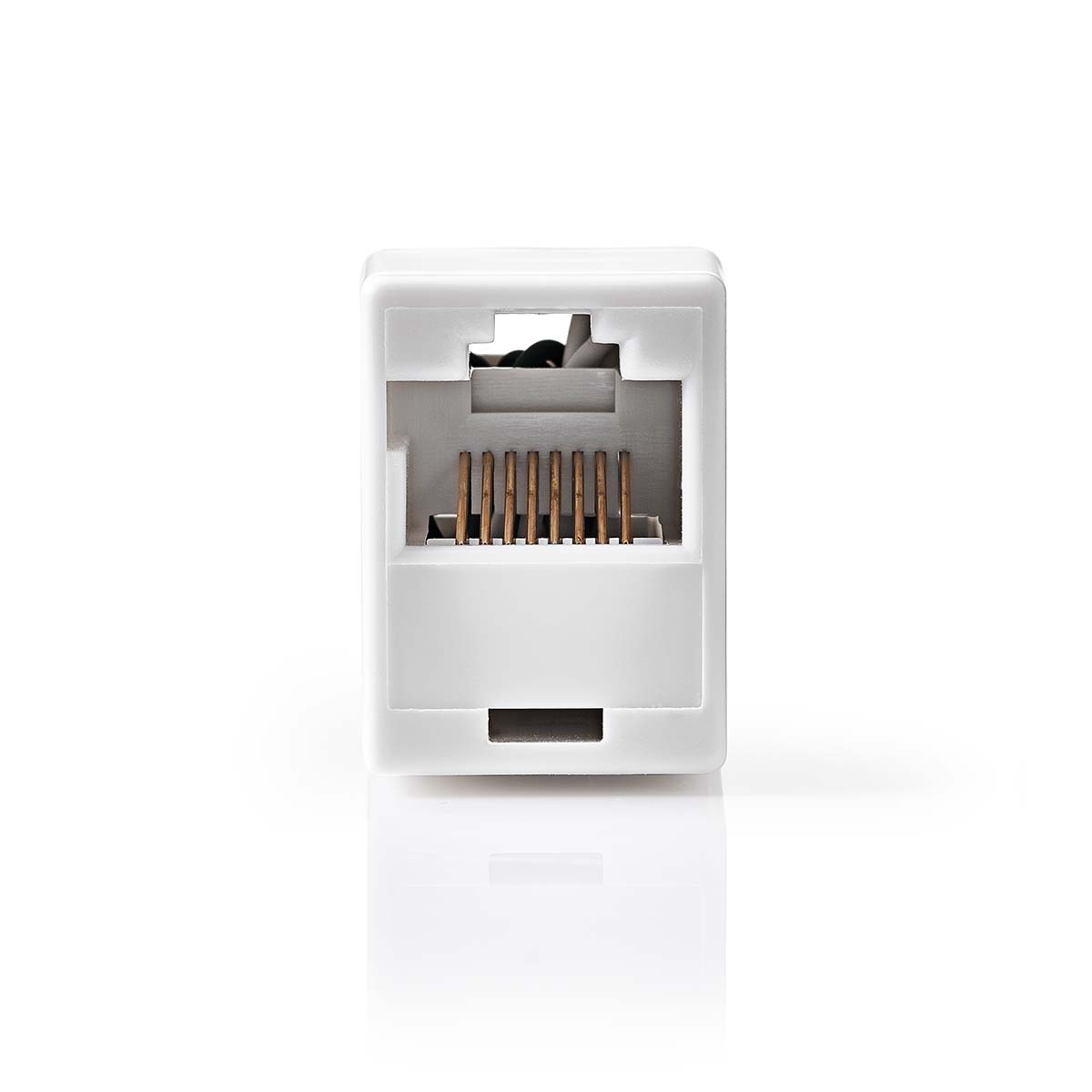 Nedis network connection | cat5 | ungeschirmt | RJ45-Buchse | RJ45-Buchse | richtig | Bauchmuskeln | Box - ccgb89005wt