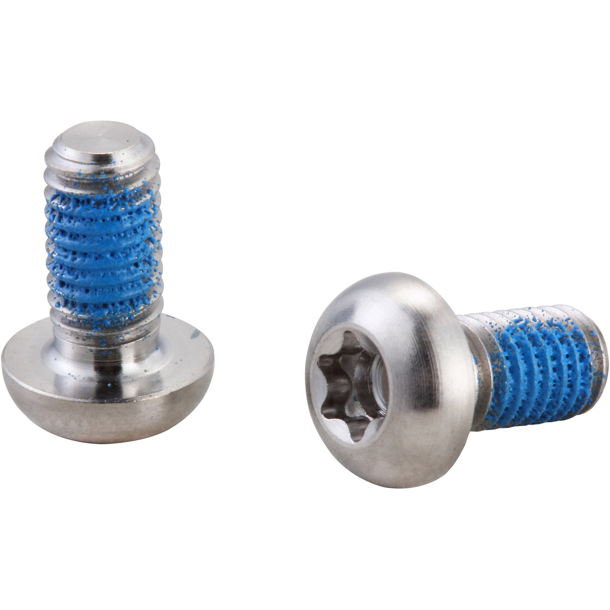 ELVEDES ROTORBOUJES TORX RVS (100) ELV2015157