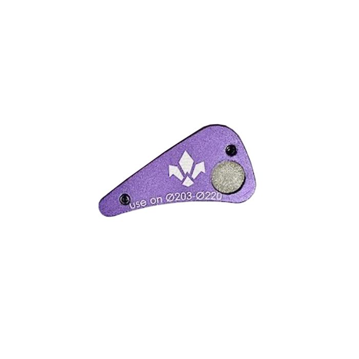 Formula E-Bike-Magnetscheibenadapter – 203 220 mm