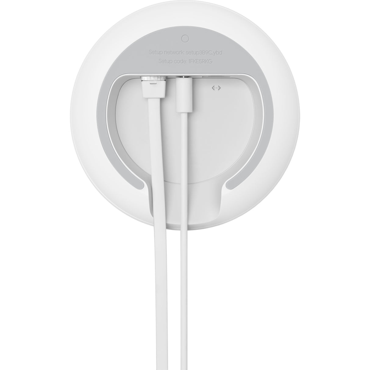 Google WiFi Router + Punkt