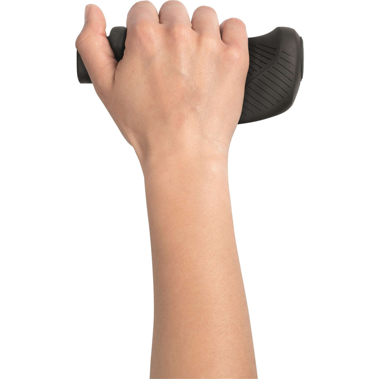 Ergon behandelt GT1-S