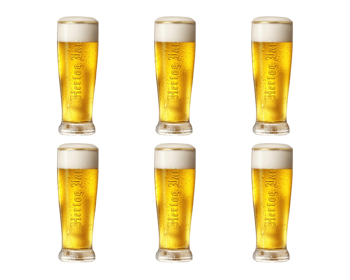 Hertog Jan geprägtes Glas (6x 25cl)