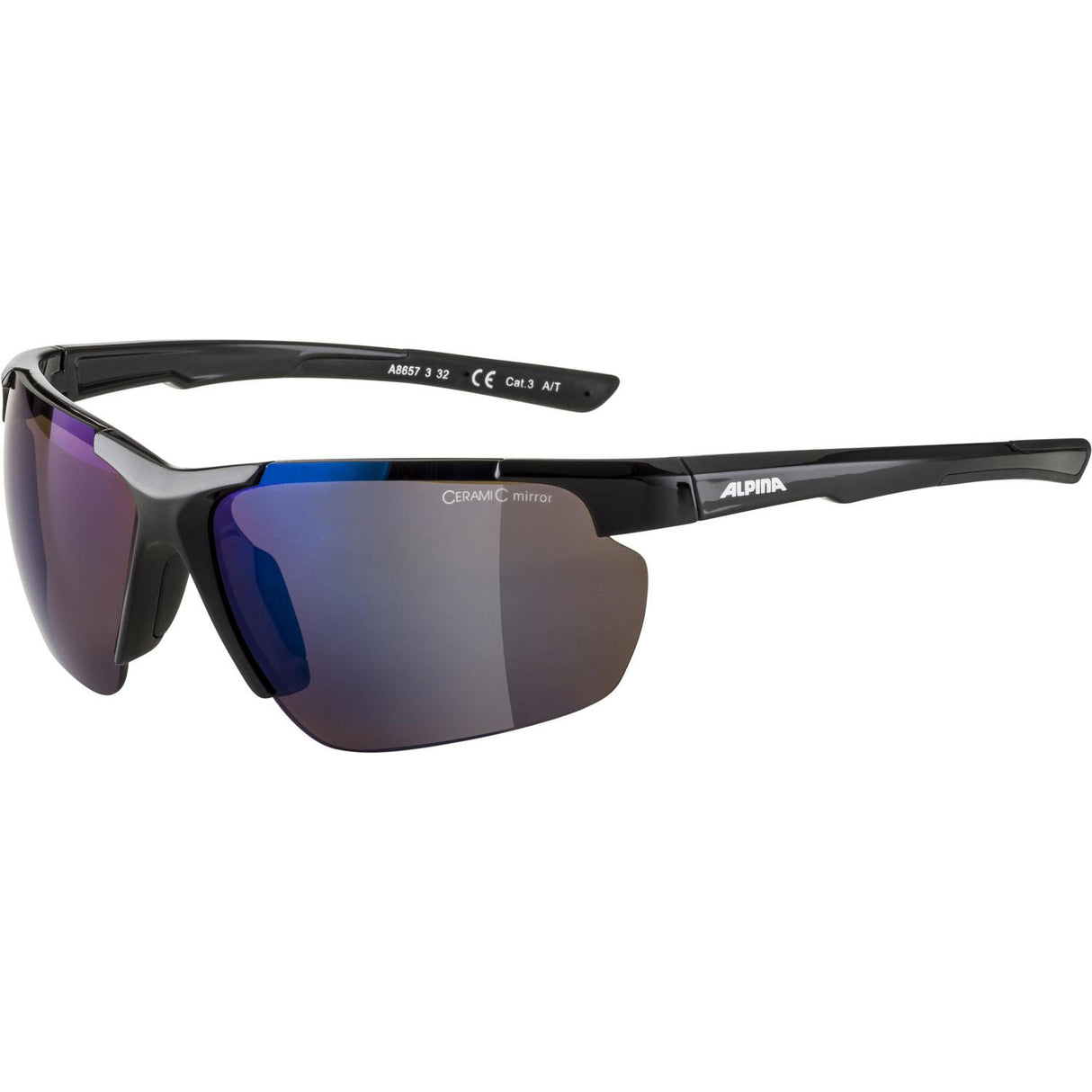 Alpina Sports Sportbrille Defey HR Schwarz