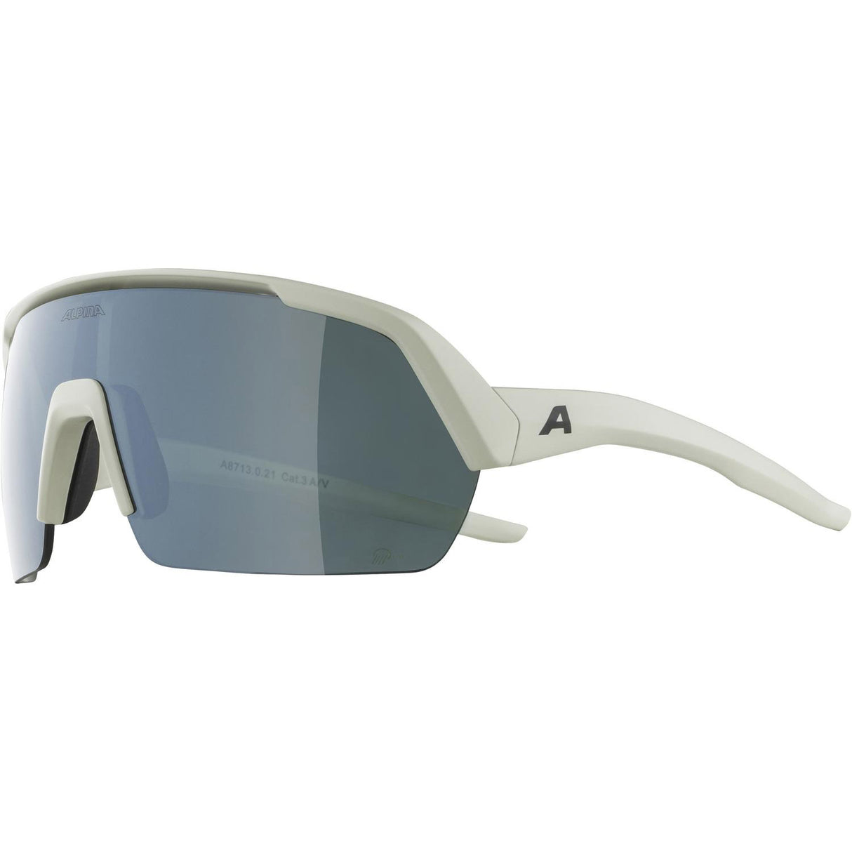 Alpina Sports Sportbrille Turbo-HR Q-Lite Grau