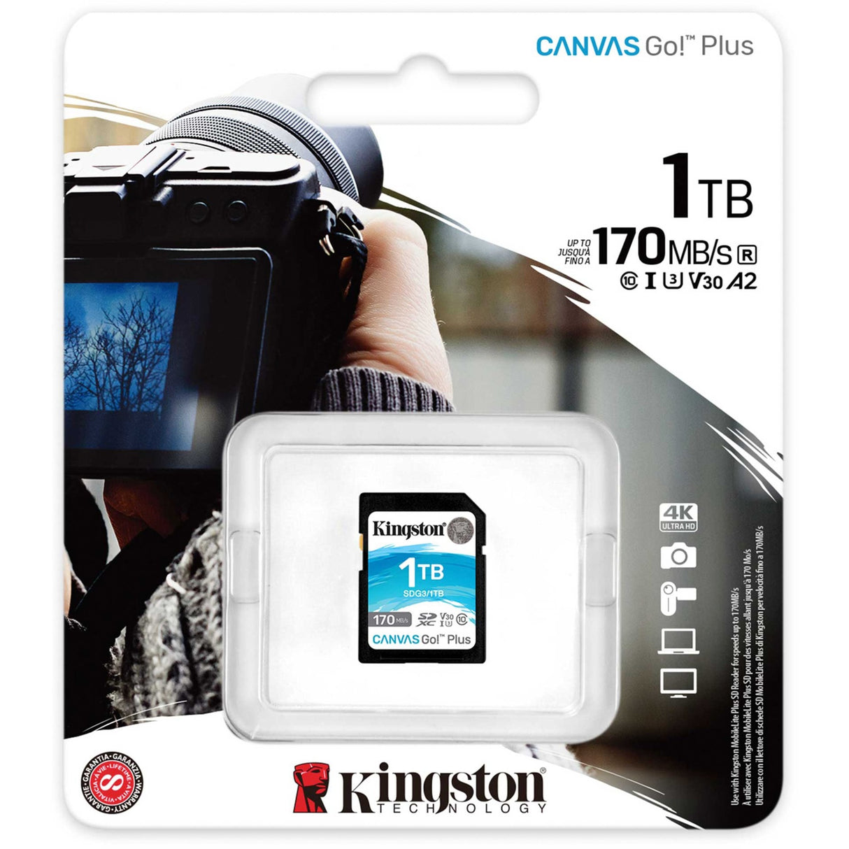 Kingston Canvas gehen! Plus SDXC 1 TB