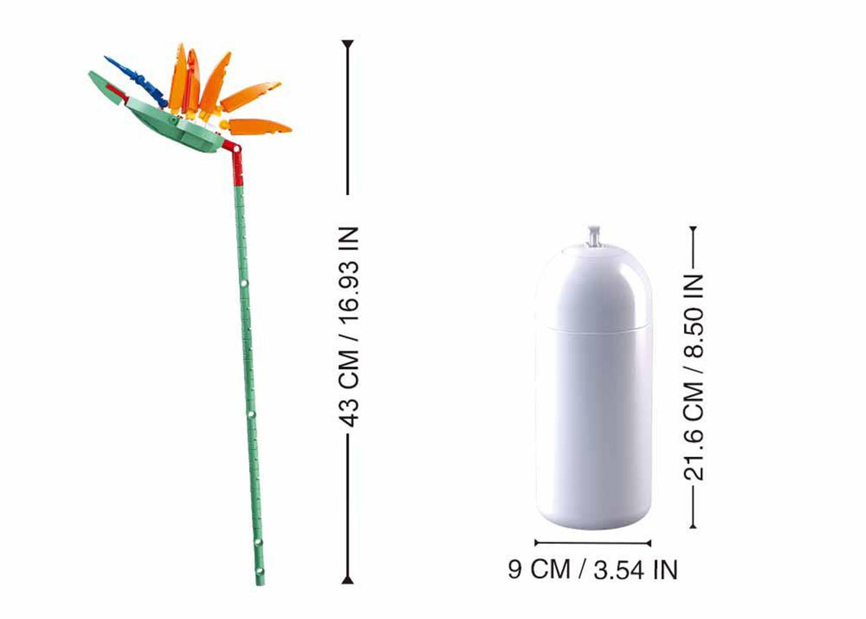 Sluban strelitzia reginae aiton (m38-b1101-01)