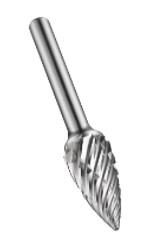 Dachgaube hm burr st (g) Spitzbogenform