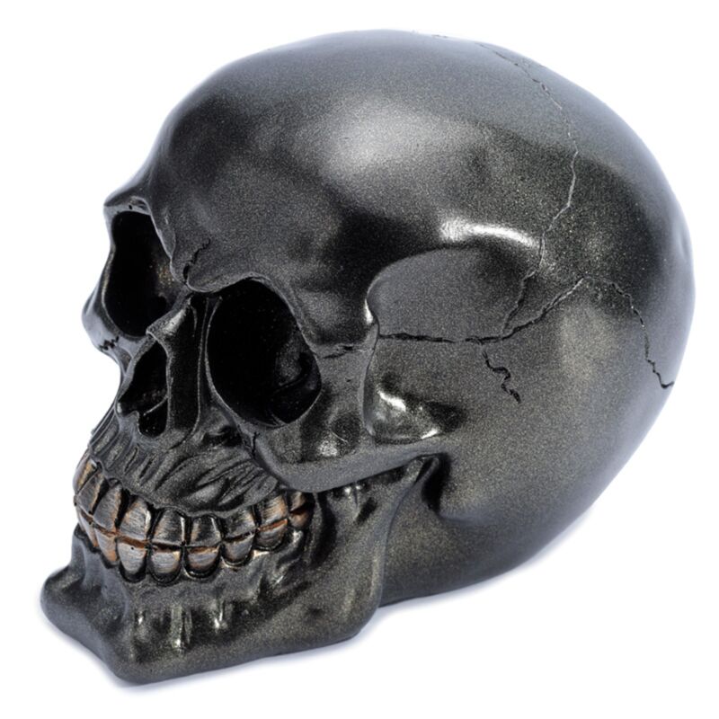 Metallisch schwarzes Totenkopf-Wohnaccessoire