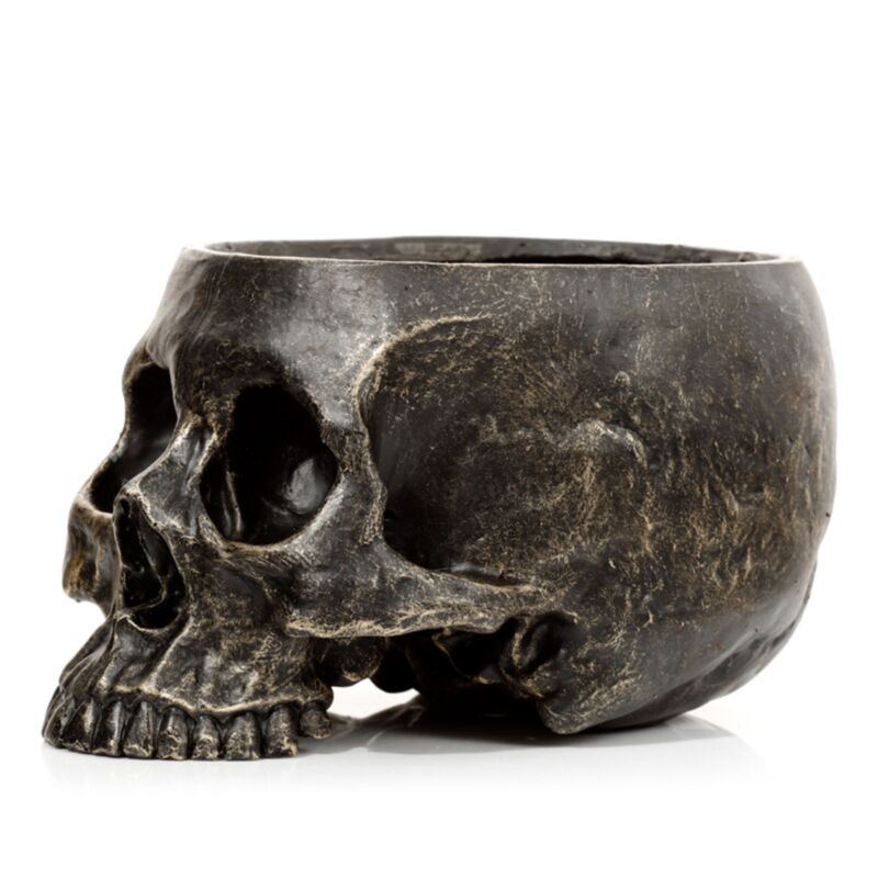 Totenkopf-Blumentopf im Inneren