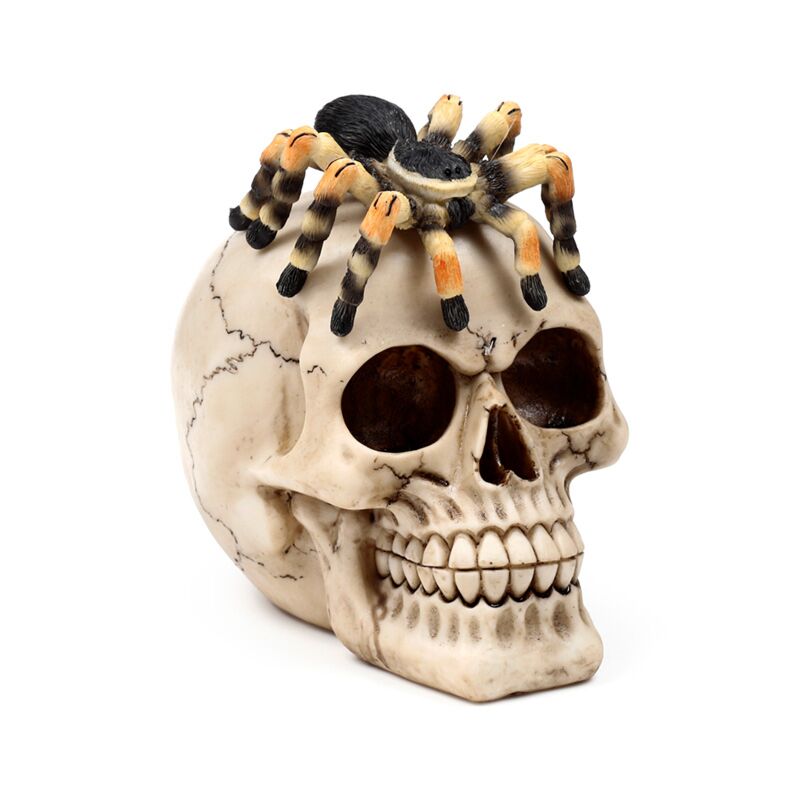 Totenkopf mit Spinne