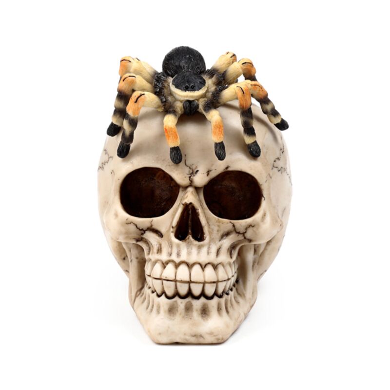 Totenkopf mit Spinne
