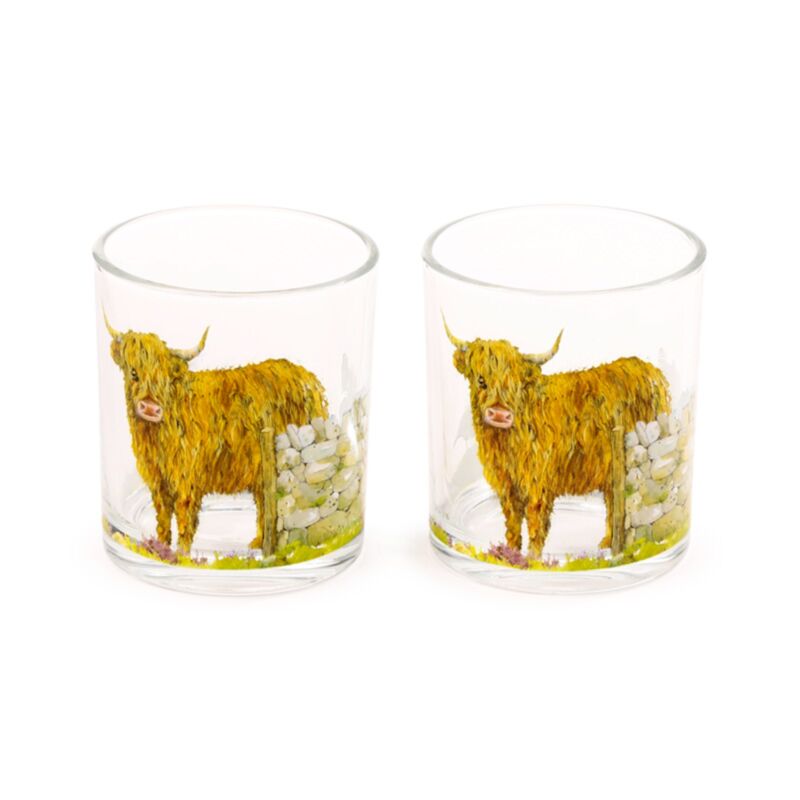 Jan Pashley Highland Cow Set mit 2 Trinkgläsern aus Glas, 250 ml