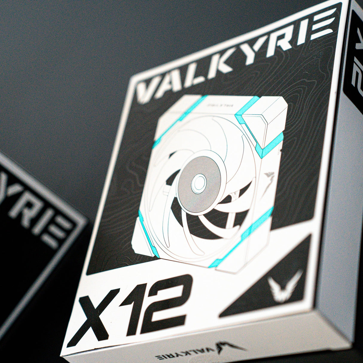 Walküre Walküre x12 argb schwarz