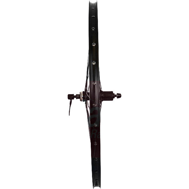 Roland Hinterrad 28 Ryde Rival21 Shimano QC300 Schwarz
