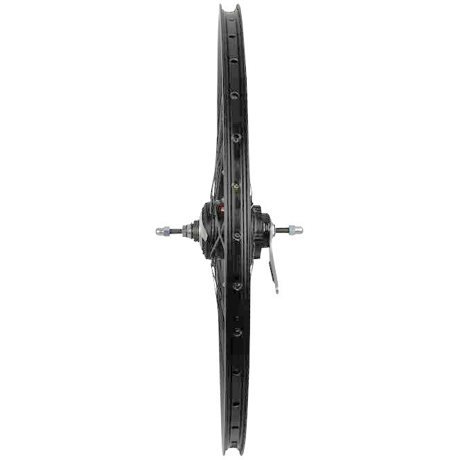 Roland Hinterrad 28 36G Ryde Taurus21 Nexus 8 Schwarz entfernen