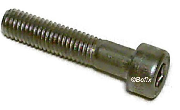 Xtrabike Bouten Allen M8x55 Stahl