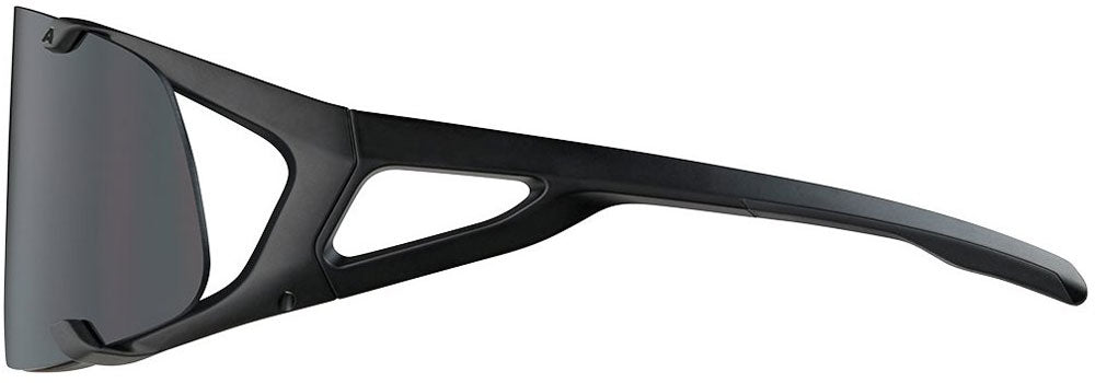 Alpina Hawkeye S – Sportbrille