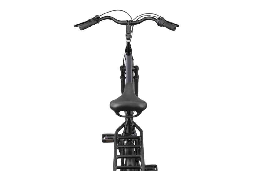 Altec Delta + plus 28 Zoll Damenbike N-3 56 cm Matt Black